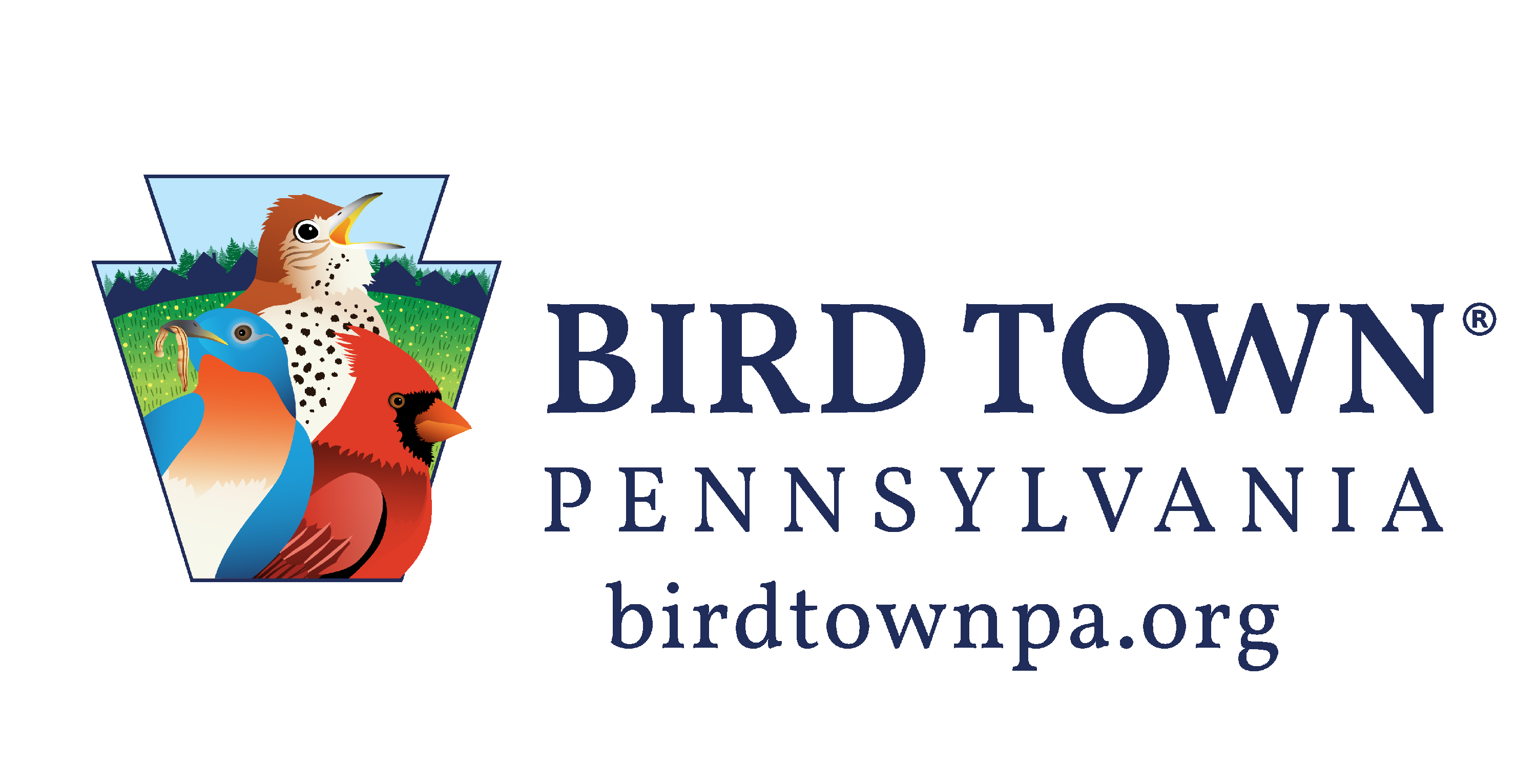 Bird Town logo